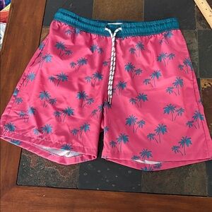 Public Record Swim Trunks Men’s M Pink & Teal Palm Trees EUC
